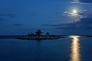 Moonlight Island Photograph by Jill Love