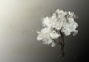 Moonlit Tree Digital Art by Lois Bryan