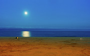 Moonscape, Beach and Dog, Barcelona Photograph by Eugene Nikiforov