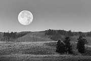 Moonset, Lamar Valley, Yellowstone National Park Photograph by The Yellowstone Collection