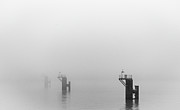 Mooring Dolphins in the Fog Photograph by Gavin Lewis