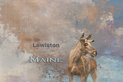 Moose Lewiston Maine Mixed Media by Elisabeth Lucas