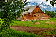 Mormon Row Cabin 7 Photograph by Mark Jackson