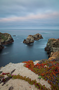 Morning Blue Photograph by Jonathan Nguyen