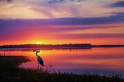 Morning catch Digital Art by Jerry Dalrymple