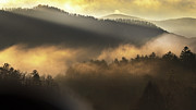 Morning Drama in Cades Cove Photograph by Theresa D Williams Smoky Mountains