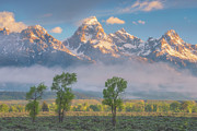 Morning Fog in the Tetons Photograph by Darren White Morning Fog in the Tetons Photograph by Darren White