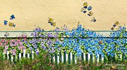 Morning Glories and Butterflies Painting by Merana Cadorette Morning Glories and Butterflies Painting by Merana Cadorette
