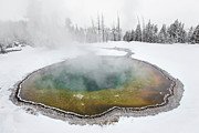 Morning Glory Pool, Yellowstone National Park Photograph by The Yellowstone Collection