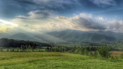 Morning Glory Photograph by Rick Kratz
