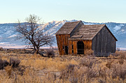 Morning in the Honey Lake Valley Photograph by The Couso Collection