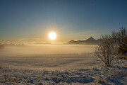Morning Mist in Lofoten 5 Photograph by Dubi Roman