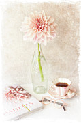 Morning Mood Photograph by Jill Love
