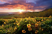 Morning Rays Photograph by Andrew Kumler