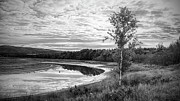Morning Sky Photograph by Alan Norsworthy