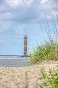 Morris Island Lighthouse - Charleston Path Photograph by Dale Powell Morris Island Lighthouse - Charleston Path Photograph by Dale Powell