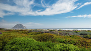 Morro Bay State Beach Photograph by Matthew DeGrushe Morro Bay State Beach Photograph by Matthew DeGrushe