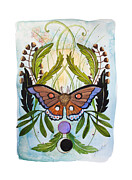 Moth watercolor painting Painting by Johanna Virtanen