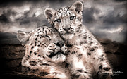 Mother's love in the clouds Photograph by Chris Boulton Mother's love in the clouds Photograph by Chris Boulton