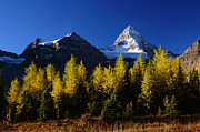 Mount Assiniboine Fall Colors Photograph by Piriya Photography