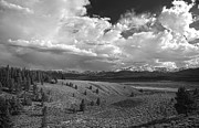Mount Massive Wilderness Black And White Photograph by Dan Sproul Mount Massive Wilderness Black And White Photograph by Dan Sproul