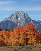 Mount Moran In Autumn Photograph by Dan Sproul Mount Moran In Autumn Photograph by Dan Sproul