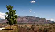 Mount Ogden Utah and De Moisy Peak Photograph by Dejan Jovanovic Mount Ogden Utah and De Moisy Peak Photograph by Dejan Jovanovic