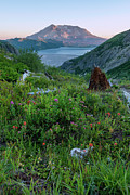 Mount St Helens from Norway Pass Digital Art by Michael Lee