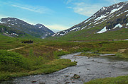 Mountain Cabin in Norway Photograph by Matthew DeGrushe Mountain Cabin in Norway Photograph by Matthew DeGrushe