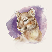 Mountain Lion Painting by Garden Of Delights