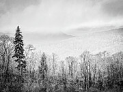 Mountain Mist Photograph by Leslie Brashear