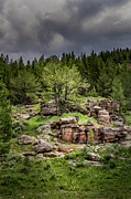 Mountain Oasis Photograph by Laura Terriere