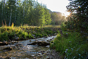 Mountain Stream at Sunrise Photograph by K Bradley Washburn Mountain Stream at Sunrise Photograph by K Bradley Washburn