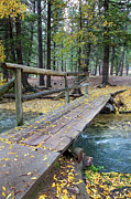 Mountain Stream Bridge Photograph by Steve Templeton Mountain Stream Bridge Photograph by Steve Templeton