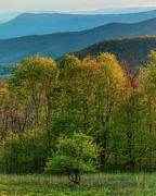 Mountian View Photograph by Nick Noble