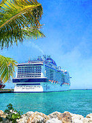 MSC Meraviglia Docked in Dominican Republic Photograph by Debra Martz MSC Meraviglia Docked in Dominican Republic Photograph by Debra Martz