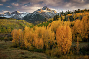 Mt Sneffels Gold Photograph by Angela Moyer