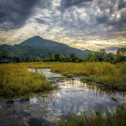 Mt. Tamalpais from tidelands Photograph by Donald Kinney Mt. Tamalpais from tidelands Photograph by Donald Kinney