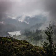 Mt. Tamalpais watershed Photograph by Donald Kinney