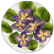 Multicolored Violets Digital Art by Snow Iris Studio