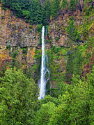 Multnomah Falls 4 Photograph by Thomas Hall