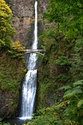 Multnomah Falls Photograph by Jerry Cahill