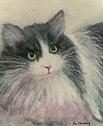 Mussie Painting by Sue Carmony Mussie Painting by Sue Carmony