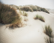 Muted Dune 1 Photograph by Ryan Weddle