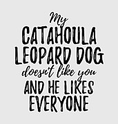 My Catahoula Leopard Dog Doesn't Like You and He Likes Everyone Digital Art by Jeff Creation