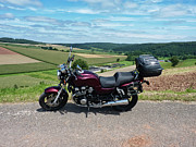My Honda Bike Photograph by Eva-Maria Di Bella