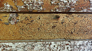 My Neighborhood Estes Textures 2 Photograph by Laura Davis