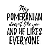My Pomeranian Doesn't Like You and He Likes Everyone Digital Art by Jeff Creation