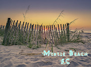 Myrtle Beach Photograph by Darrell Foster