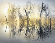 Mystical Lake Photograph by Jordan Hill Mystical Lake Photograph by Jordan Hill